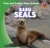 Baby Seals - 9781433955341 by Katie Kawa, 9781433955341