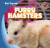 Furry Hamsters by Katie Kawa, 9781433956034