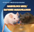 Furry Hamsters / Hámsteres peludos (Bilingual Edition) by Katie Kawa, 9781433956072