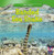 Banded Sea Snake - 9781433956232 by Juliet Figorito