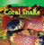 Coral Snake by Jamie Honders, 9781433956324