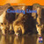 Counting Lions - 9781433956645 by Adeline Zubek