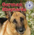 German Shepherds - 9781433957703 by Kristen Rajczak Nelson
