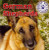 German Shepherds - 9781433957727 by Kristen Rajczak Nelson, 9781433957727