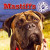 Mastiffs - 9781433957888 by Maria Nelson, 9781433957888