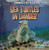 Sea Turtles in Danger by Michael Portman, 9781433958021