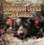 Tasmanian Devils in Danger by Michael Portman, 9781433958069
