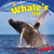 A Whale's Life by Sara Antill, 9781448849789