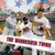 The Minnesota Twins by Sloan MacRae, 9781448850129