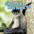 Spider Monkeys - 9781448850204 by Gillian Houghton Gosman, 9781448850204