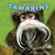 Tamarins by Gillian Houghton Gosman, 9781448850211
