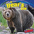 A Bear's Life - 9781448851010 by Sara Antill, 9781448851010