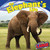 An Elephant's Life - 9781448851065 by Sara Antill, 9781448851065