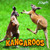 Kangaroos - 9781448851591 by Lynette Robbins