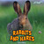 Rabbits and Hares - 9781448851690 by Lynette Robbins, 9781448851690