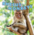 Rhesus Monkeys - 9781448851812 by Gillian Houghton Gosman, 9781448851812