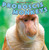 Proboscis Monkeys - 9781448851836 by Gillian Houghton Gosman, 9781448851836