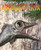 Archaeopteryx - 9781448852468 by Rob Shone, 9781448852468