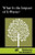 What Is the Impact of E-Waste? by Tamara Thompson, 9780737756067