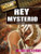 Rey Mysterio - 9781448855384 by Bridget Heos, 9781448855384