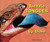 Terrific Tongues Up Close by Melissa Stewart, 9780766038943