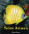 Yellow Animals by Melissa Stewart, 9780766039971