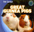 Great Guinea Pigs - 9781433962912 by Rose Carraway, 9781433962912