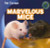 Marvelous Mice - 9781433962998 by Rose Carraway, 9781433962998