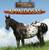 Appaloosas by Barbara M. Linde, 9781433964565