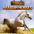 Arabian Horses - 9781433964626 by Barbara M. Linde