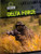 Delta Force - 9781433965555 by Jeanne Nagle, 9781433965555