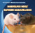 Marvelous Mice / Ratones maravillosos by Rose Carraway, 9781433966439
