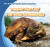 Terrific Turtles / Tortugas asombrosas (Bilingual Edition) by Rose Carraway, 9781433966477