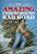 The Amazing Underground Railroad (Stories in American History) - 9781464400216 by Kem Knapp Sawyer, 9781464400216