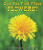 Can You Find These Flowers? - 9781464400674 by Carmen Bredeson, Lindsey Cousins, 9781464400674