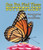 Can You Find These Butterflies? - 9781464400698 by Carmen Bredeson, Lindsey Cousins