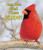 Can You Find These Birds? - 9781464400728 by Carmen Bredeson, Lindsey Cousins, 9781464400728