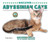 Discover Abyssinian Cats - 9781464401121 by Trudy Micco, 9781464401121
