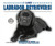 I Like Labrador Retrievers! - 9781464401206 by Linda Bozzo, 9781464401206