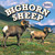 Bighorn Sheep - 9781448861811 by Meryl Magby, 9781448861811