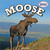 Moose - 9781448861835 by Meryl Magby, 9781448861835