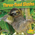 Three-Toed Sloths by Willow Clark, 9781448861866
