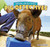 Pig Detectives - 9781448862627 by Rosie Albright