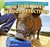 Pig Detectives / Cerdos detectives by Rosie Albright, Eduardo Alamán, 9781448867189