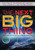 The Next Big Thing - 9781448869312 by Barbara Gottfried Hollander