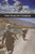 The War on Terror - 9780737764475 by Noah Berlatsky