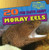 20 Fun Facts About Moray Eels - 9781433969843 by Heather Moore Niver