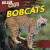 Bobcats - 9781433969966 by A. J. Grucella, 9781433969966