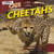 Cheetahs - 9781433969997 by R. P. Harasymiw
