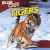 Tigers - 9781433970160 by Elizabeth Whyte, 9781433970160